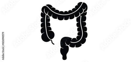 Black silhouette of the human large intestine on a white background