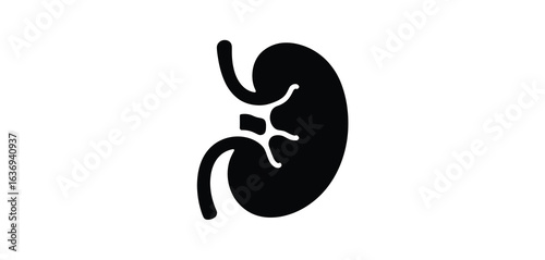 Stylized silhouette of a human kidney with artery and vein