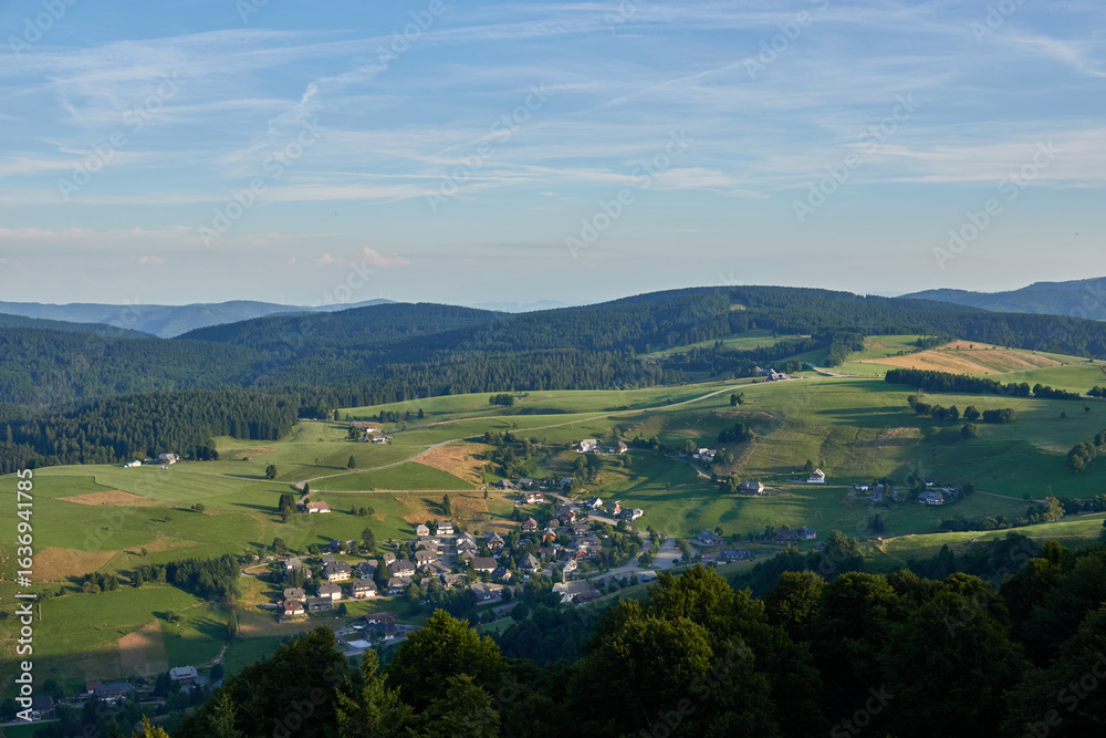 Fototapeta premium Black Forest View from the Hilltop