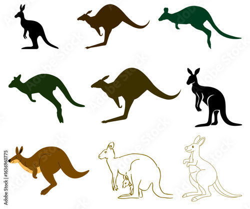 Kangaroo australian animal cartoon vector illustration – jumping, sitting, baby, silhouette, funny wildlife drawing in style.