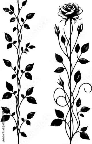 Set of outline roses, leaves, doodle floral pattern. Hand drawn rose Botanical drawing. Detailed line art rosebuds, buds illustration. Simple Stylized flowers. Elegant Black and White blossom