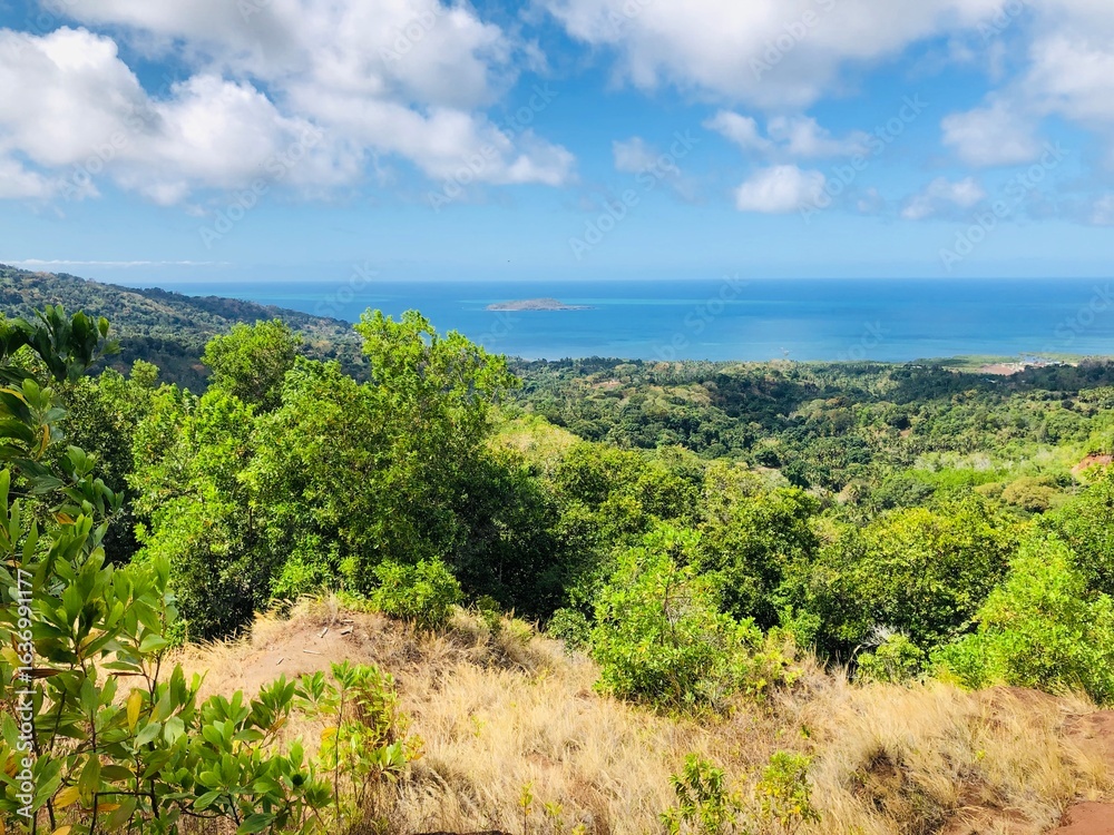 Faune et flore de l'île de Mayotte Faune et flore de l'île de Mayotte