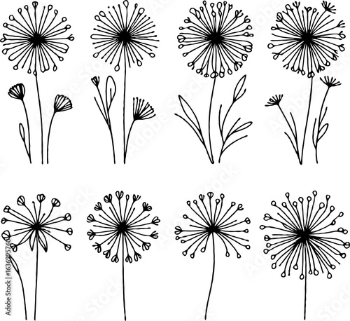 Hand drawn Botanical drawing, set of contour spring flowers, line art floral, leaves, black and white illustration dandelion, set of decorative elements of plants stylized