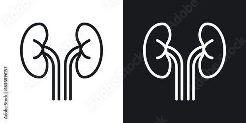 Kidneys vector icon. Design graphic in outline style illustration.