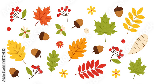 A Whimsical Collection of Autumnal Elements Featuring Maple Leaves Oak Leaves Acorns Berries and Small Flowers Celebrating the Vibrant Colors of Fall