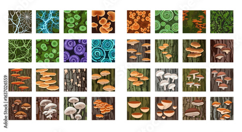 Collection of fungal textures and patterns with different organic shapes in nature