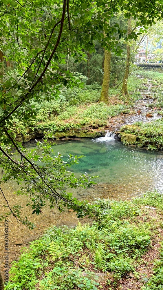 Obraz premium natural beauty with clear and clean rivers free from waste and pollution