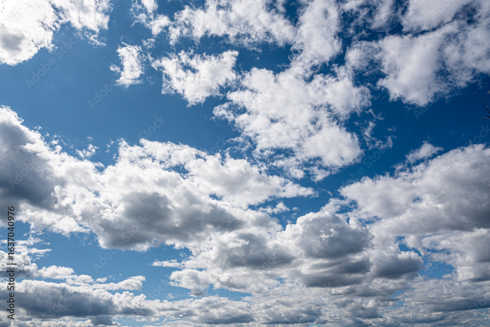 Obraz premium Vivid blue sky with scattered white clouds on a sunny day, creating a natural and airy background ideal for designs, nature concepts, and seasonal imagery. 