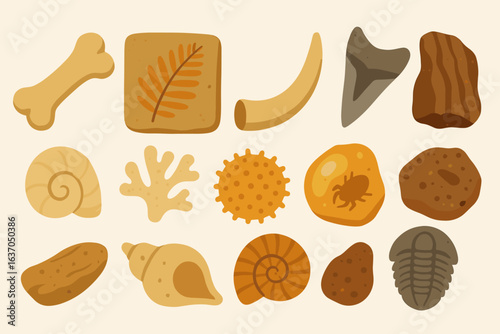 Fossils, archaeology flat icon set. ancient history and paleontology flat collection