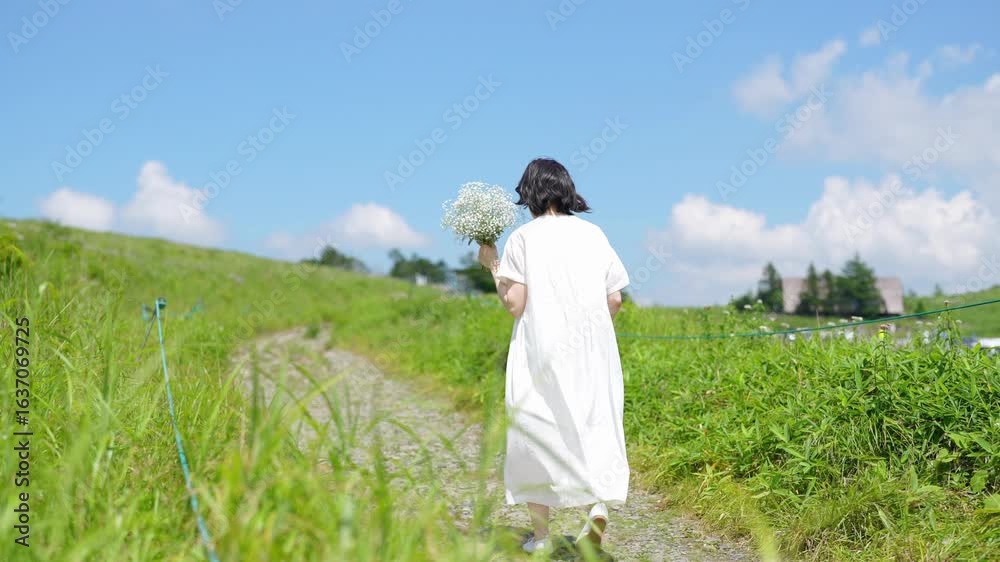 Slow-motion. In a wide, sunlit grass field under a bright blue sky, a Japanese woman in a flowing white dress walks away from the camera, holding a bouquet of baby's breath flowers. Nagano, Japan. Slow-motion. In a wide, sunlit grass field under a bright blue sky, a Japanese woman in a flowing white dress walks away from the camera, holding a bouquet of baby's breath flowers. Nagano, Japan.