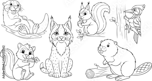 Woodland forest animals friendly cartoon characters collection. Otter, lynx, squirrel, woodpecker and beaver animal friends. Black outline coloring book vector illustrations