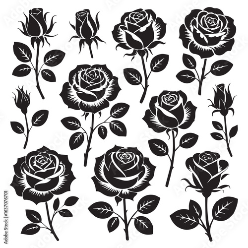 hand drawn rose illustrations set elegant outline and hatching styles perfect for logo design decals packaging and branding