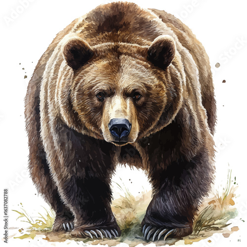Brown Bear, watercolor clipart vector, isolated on a white background.