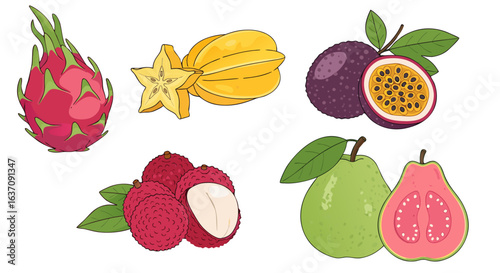 Flat 2D Exotic Fruits Vector Icons, Transparent Background