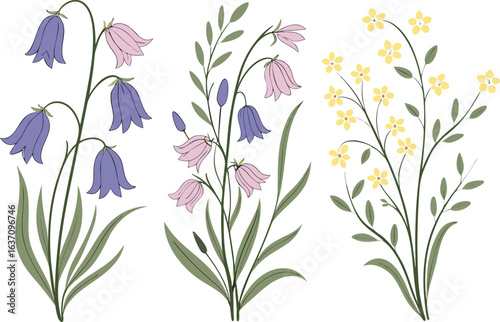 Delicate bluebell and yellow flower illustrations on white background