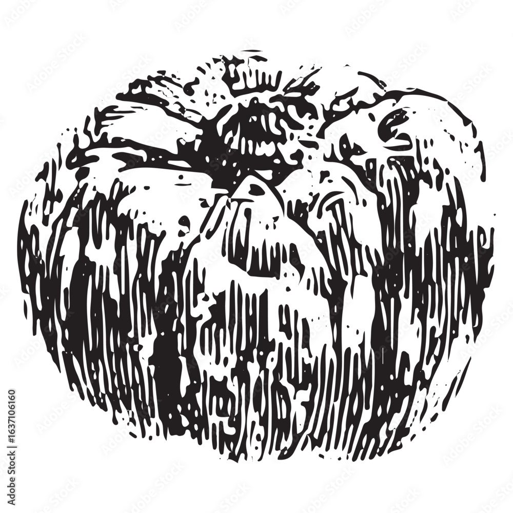 Fototapeta premium Rustic pumpkin sketch, ideal for fall art, organic farming, and harvest festival designs