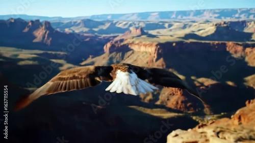 Majestic Eagle Flying Over Grand Canyon Breathtaking Landscape