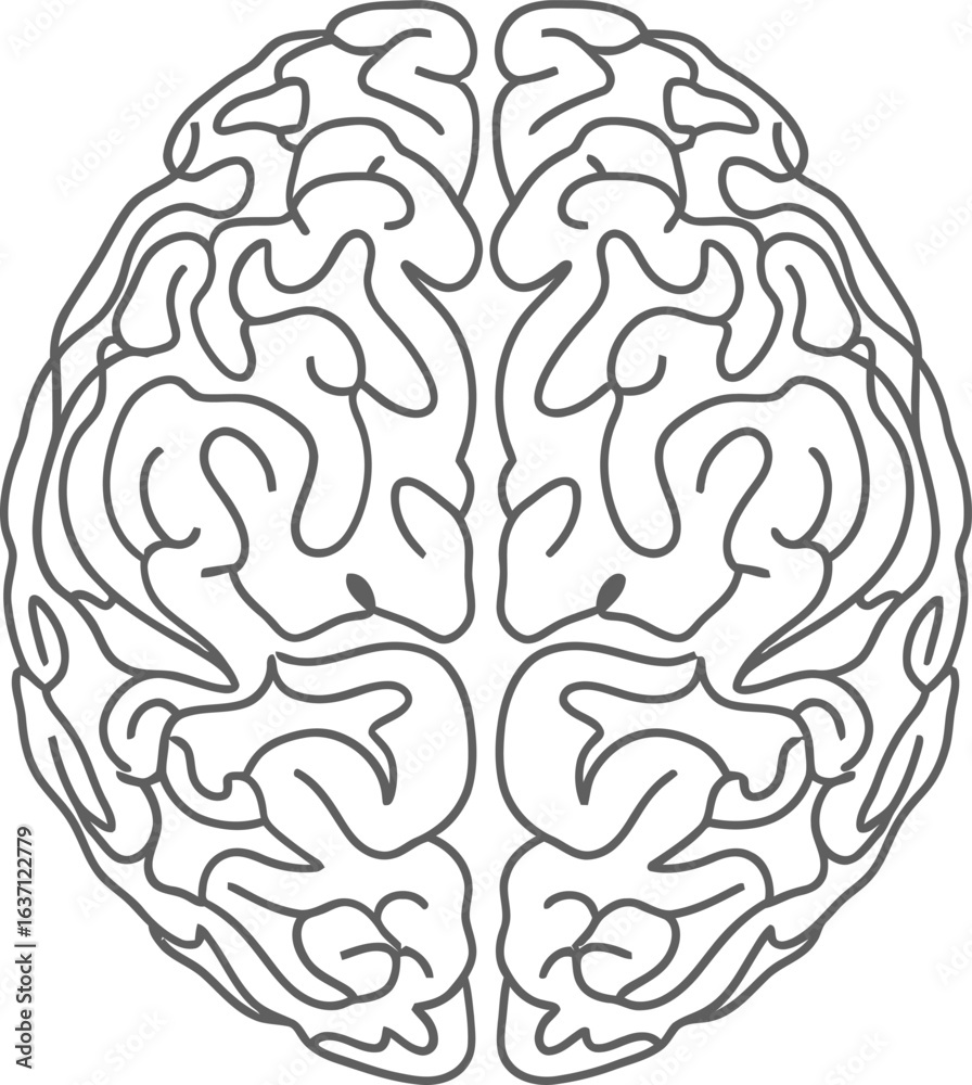 Obraz premium Minimalist human brain line art, anatomical cerebral hemisphere outline, medical neurology vector illustration on white background