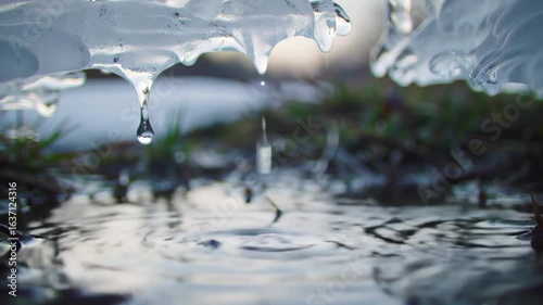 Melting Ice Drops Falling In A Spring Pond Nature View