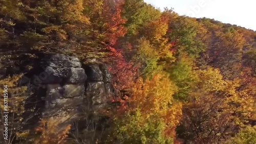 Colorful Autumn Foliage On Hillside With Cliffside In Scenic Landscape