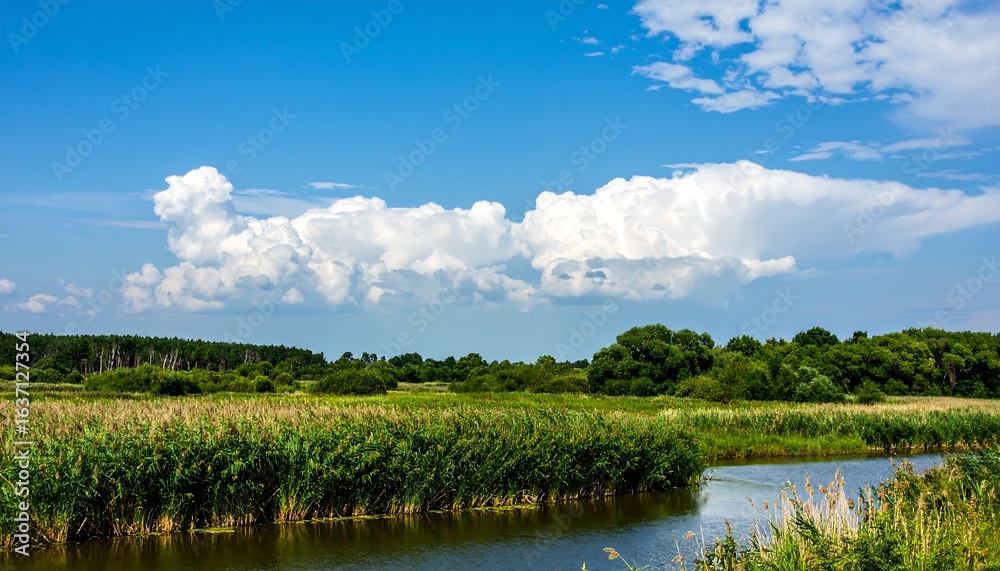 Fototapeta premium Wide river, tall grass, blue sky, clouds