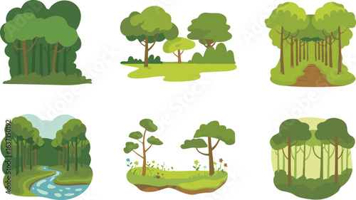 Forest Landscape Illustrations Diverse Woodland Scenes and Natural Environment