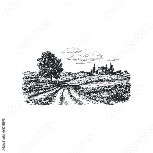 Vineyard landscape with rustic villa and cypress trees under a cloudy sky