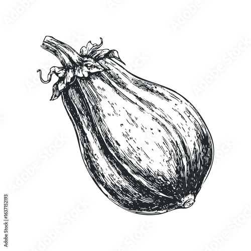 Wallpaper Mural Sketch of a Single Fresh Eggplant on White Background Torontodigital.ca