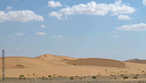 Desert landscape with dunes  and blue sky.