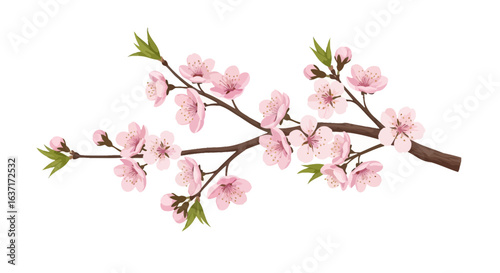 Wallpaper Mural Blossoming beauty: A floral branch radiating tranquil springtime elegance Torontodigital.ca