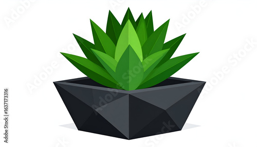 Geometric Potted Succulent Plant.
