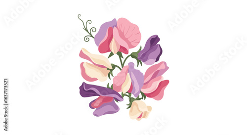 Delicate illustration of a Sweet Pea flower cluster with soft, pastel colors