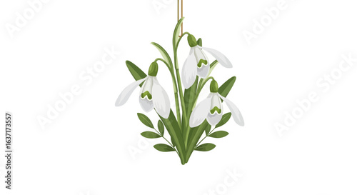 Delicate snowdrop blooms hanging with vibrant foliage on stark backdrop