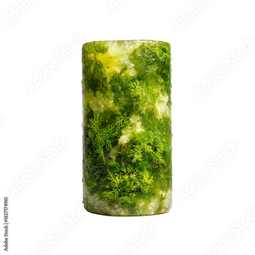Frozen Herb Cylinder Dill and Parsley in Ice