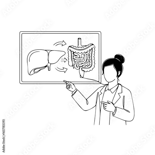 Diet doctor explaining digestive system on whiteboard. Doctor points at liver and intestines diagram.  Informative presentation for patients about diet and digestion.