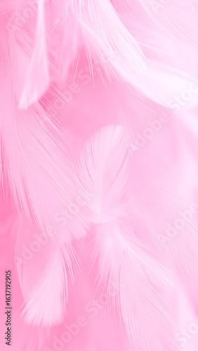 Pink Feathers Soft Background Texture.