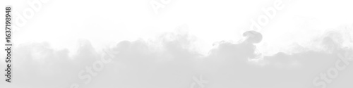 White thick smoke rising from the bottom effect transparent PNG cutout, isolated background