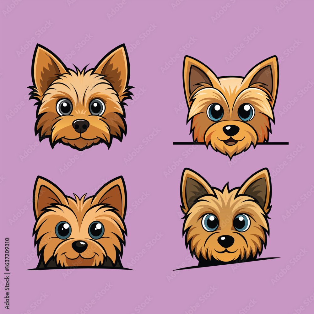 Fototapeta premium Yorkshire Terrier 