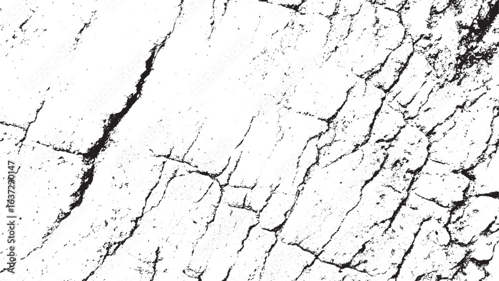 Obraz premium Abstract Black White Grunge Cracked Stone Texture Overlay