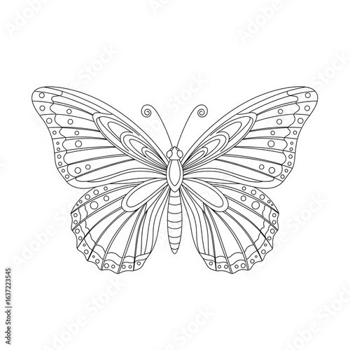 Printable butterfly color