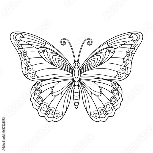 Printable butterfly color