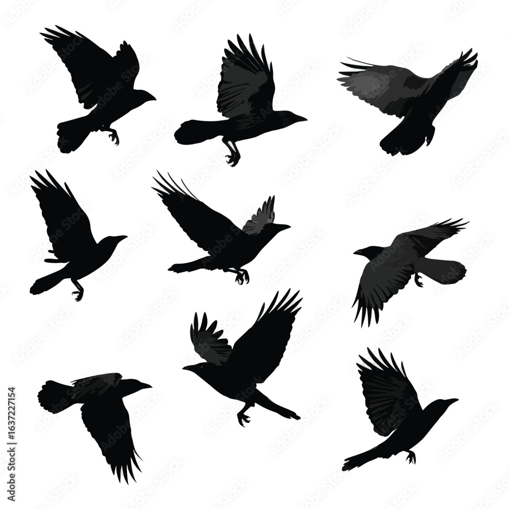 Naklejka premium crow silhouette set flying, Black & White silhouette set