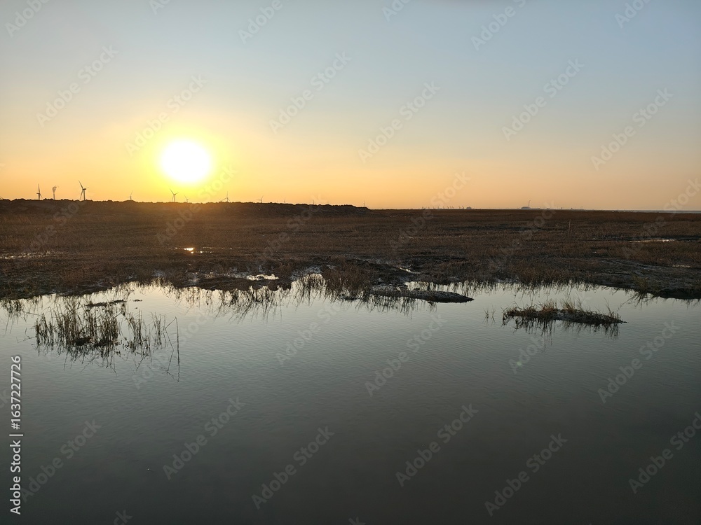 Naklejka premium sunset on the river
