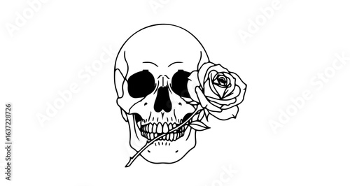 Skull and rose drawing illustration black and white line art tattoo design gothic aesthetic death and beauty art