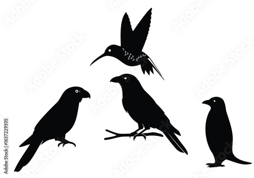 Vector art of silhouettes of different birds including crows and hummingbird isolated on white background