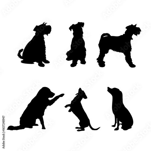 Pack of six dog silhouettes on white background