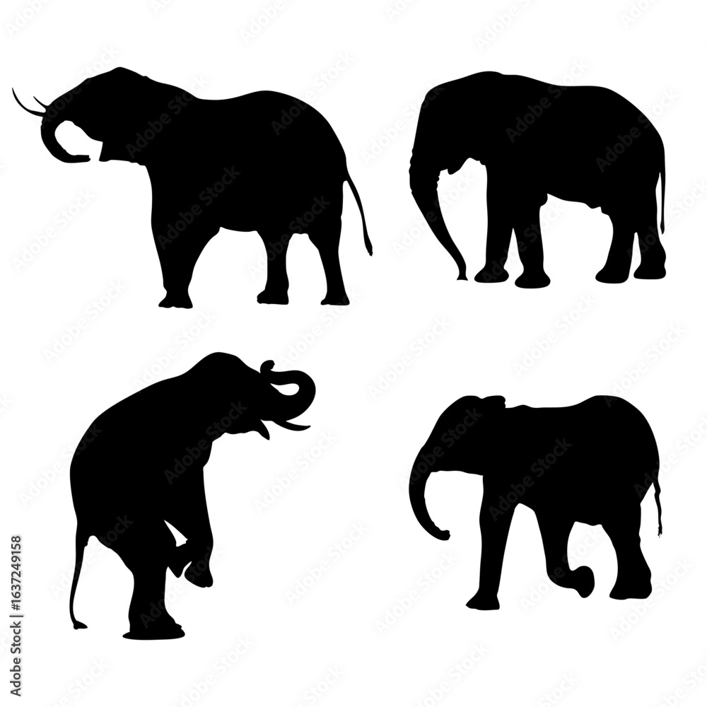 Fototapeta premium Collection of walking elephant silhouette in a vector