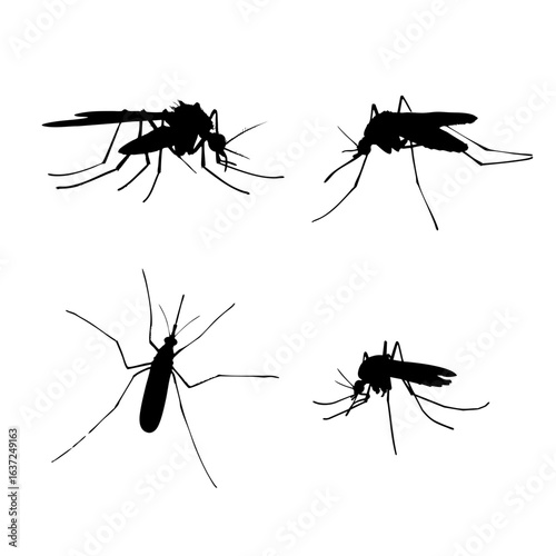 Collection of mosquito silhouettes/black mosquito on white background, vector