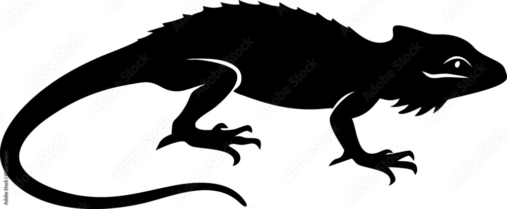 Fototapeta premium silhouette of a chameleon Silhouette of a Chameleon in Side Profile on White Background