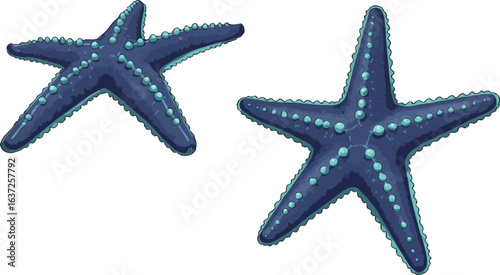 Stylized illustration showcasing a pair of vibrant blue sea stars on plain display